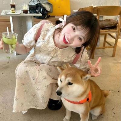 四片羽毛